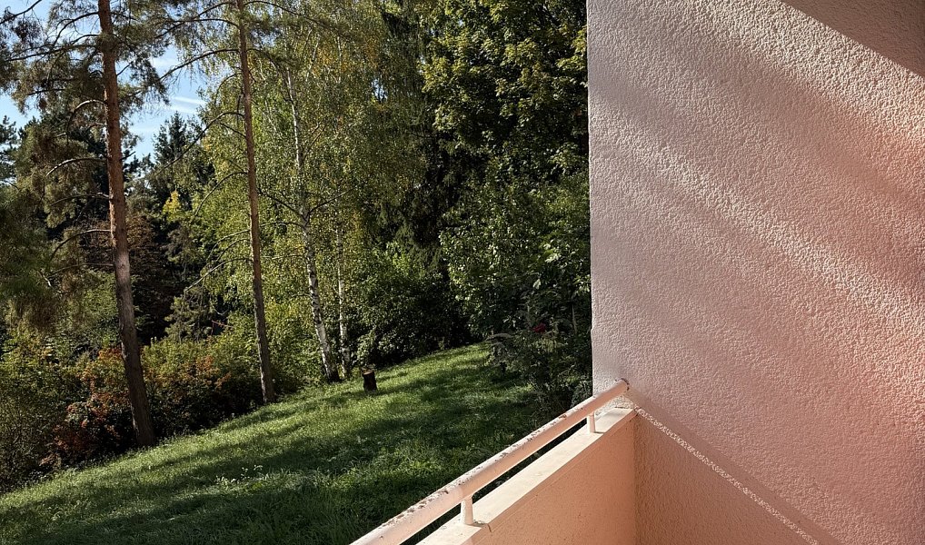 Pronájem bytu 1+1 38 m², Brno – náhled fotky 11