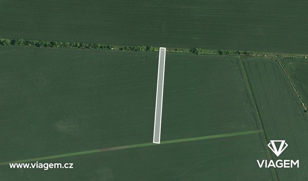 Prodej pole 648 m², Blučina – náhled fotky 2