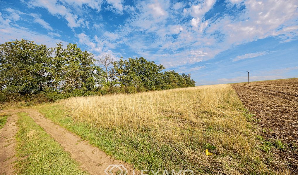 Prodej pole 5 903 m², Prace – náhled fotky 12