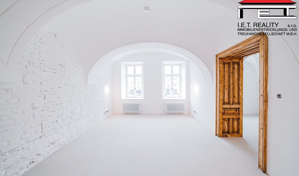 Prodej bytu atypického 405 m², Frýdek-Místek – náhled fotky 9