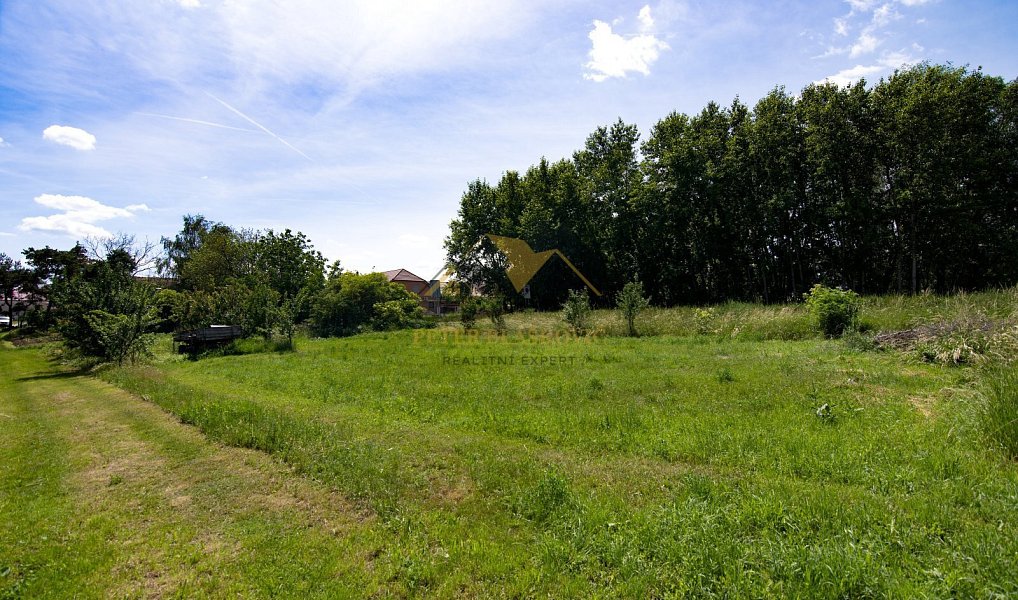 Prodej domu 125 m² s pozemkem 2 783 m², Hrabětice – náhled fotky 5