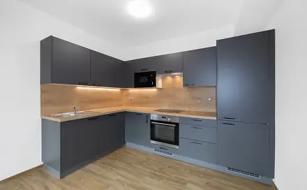Pronájem bytu 1+kk 44 m², Sportovní, Zruč-Senec