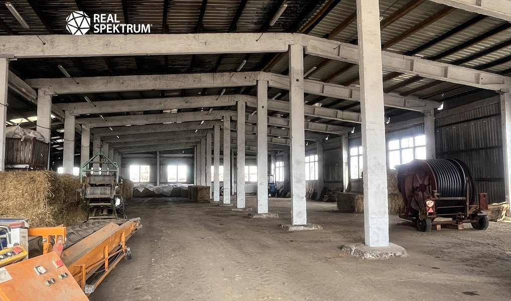 Prodej výrobních prostor 5 000 m², Hladov – náhled fotky 4