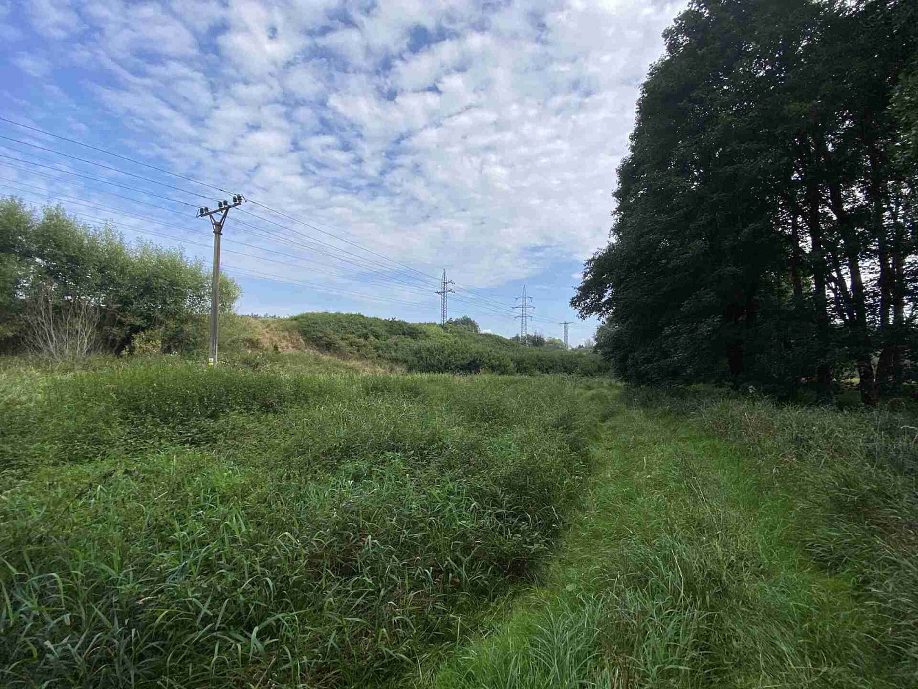 Prodej pole 2 776 m²