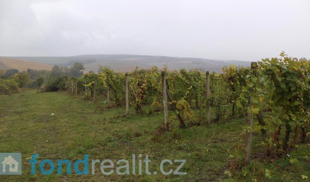 Prodej pozemku 4 541 m², Morkůvky – náhled fotky 4