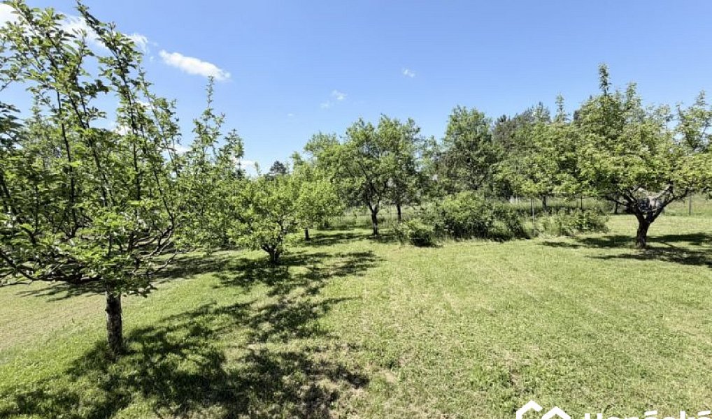 Prodej zahrady 808 m², Jankovice – náhled fotky 20