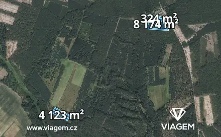 Prodej lesa 2 524 m², Bělá pod Bezdězem, okres Mladá Boleslav