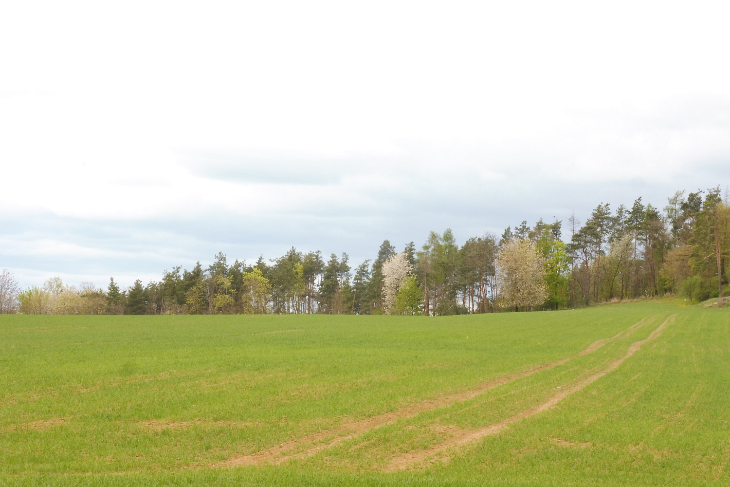 Fotka 2 z 5
