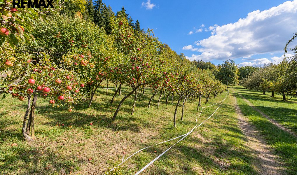Prodej pozemku 27 377 m², Chvalšiny – náhled fotky 5