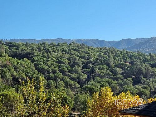 Prodej domu 380 m² s pozemkem 1 200 m²