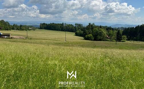 Prodej louky 3 419 m², Chuchelna - Lhota, okres Semily