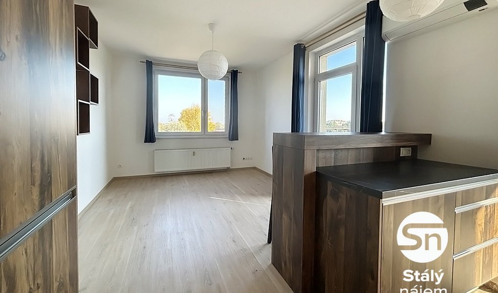 Pronájem bytu 1+kk 40 m², Praha – náhled fotky 2