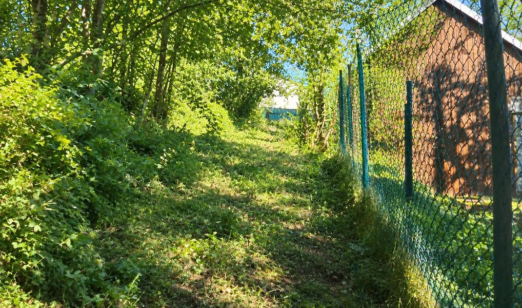 Prodej stavebního pozemku 1 074 m², Nová Bystřice – náhled fotky 4