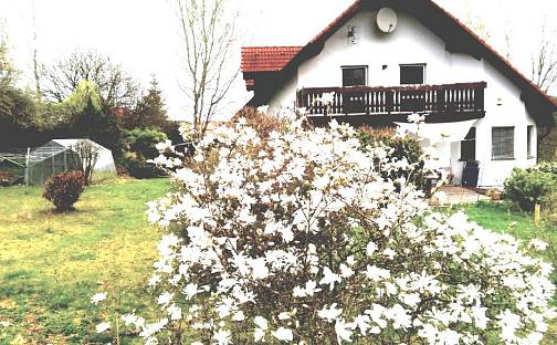 Dražba domu 270 m² s pozemkem 2 771 m², Bělá nad Radbuzou