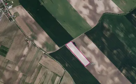 Prodej pole 26 029 m², Mutěnice, okres Hodonín