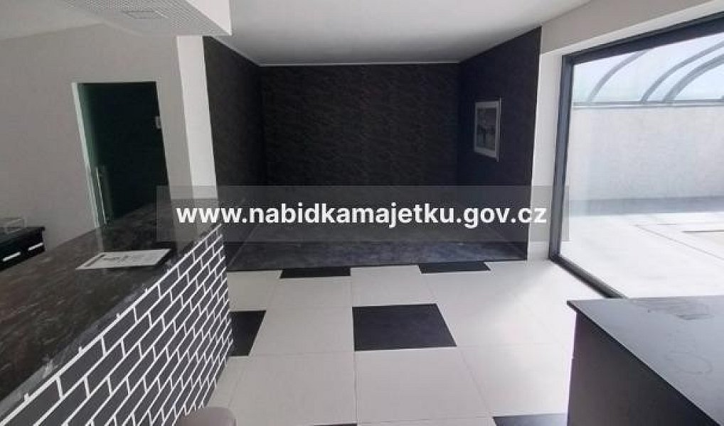 Prodej domu 767 m² s pozemkem 2 143 m², Drahňovice – náhled fotky 18