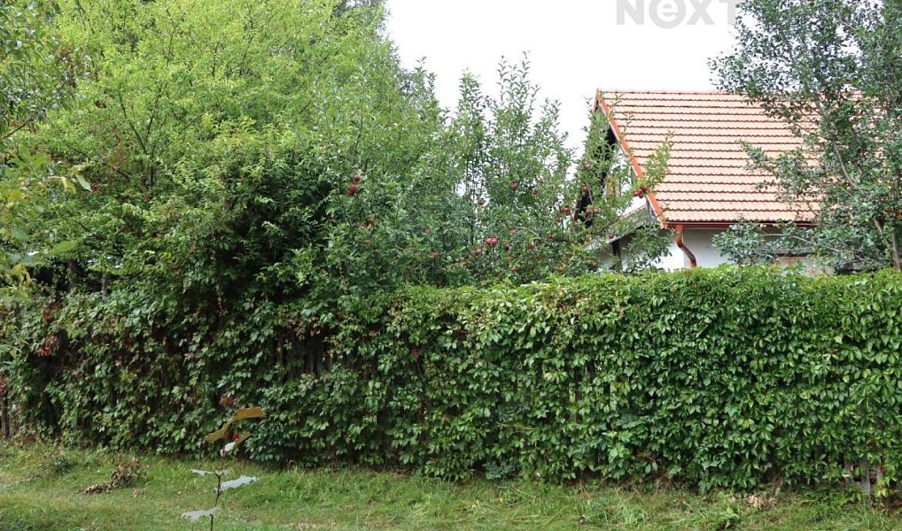 Prodej domu 180 m² s pozemkem 660 m², Studnice – náhled fotky 23