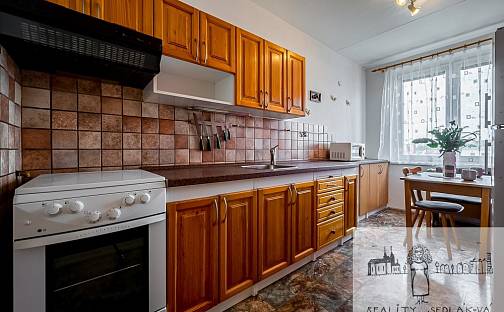 Prodej bytu 3+1 72 m², Spodní, Brno
