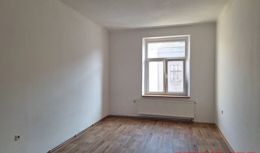 Pronájem bytu 1+1 45 m², Plzeň – náhled fotky 3