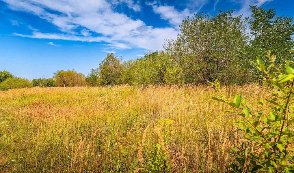 Prodej komerčního pozemku 4 744 m², Hůry – náhled fotky 6