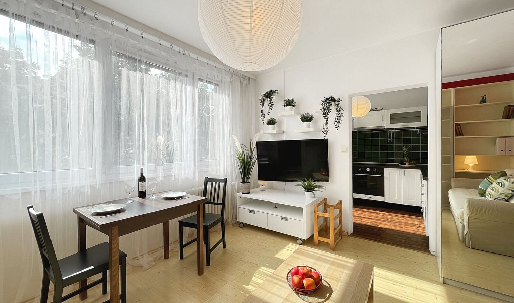 Prodej bytu 2+1 45 m², Praha – náhled fotky 18