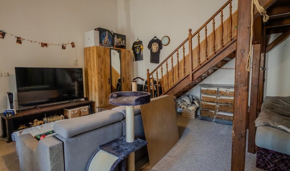 Prodej domu 615 m² s pozemkem 684 m², Jihlava – náhled fotky 24