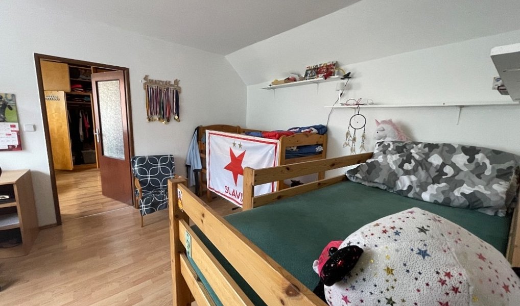 Prodej domu 177 m² s pozemkem 379 m², Nové Syrovice – náhled fotky 17