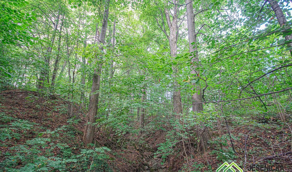 Prodej pole 16 809 m², Velké Kunětice – náhled fotky 7