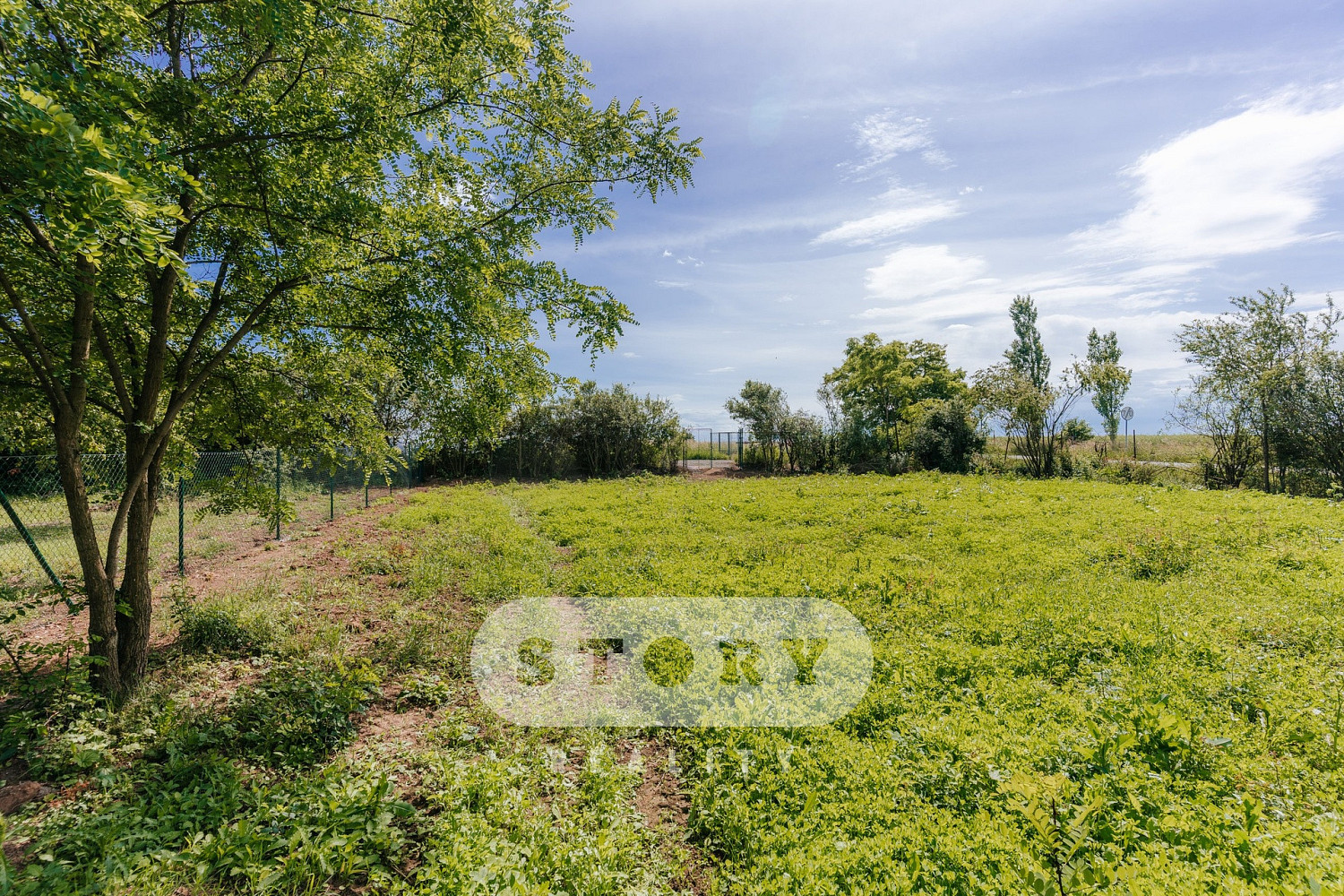 Prodej zahrady 1 000 m² – pohled 6