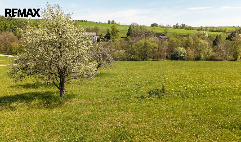 Prodej komerčního pozemku 10 364 m², Horní Kalná – náhled fotky 8
