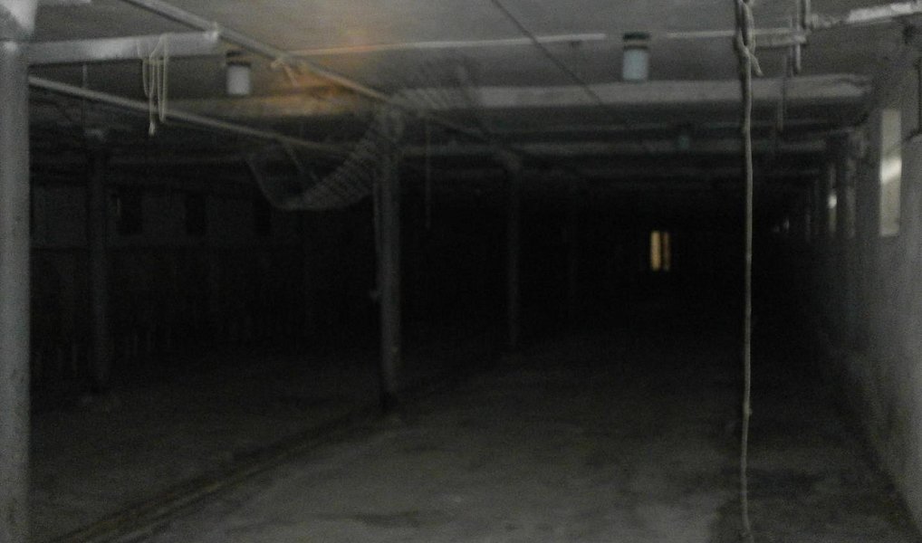 Prodej zemědělského objektu 21 811 m², Šternberk – náhled fotky 10