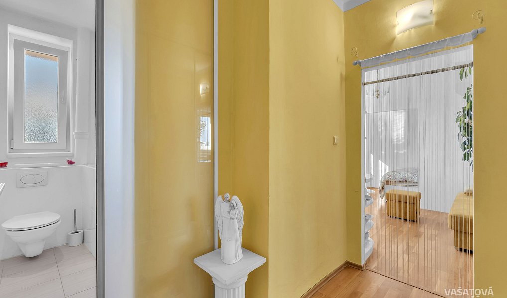 Pronájem bytu 1+kk 28 m², Hradec Králové – náhled fotky 11