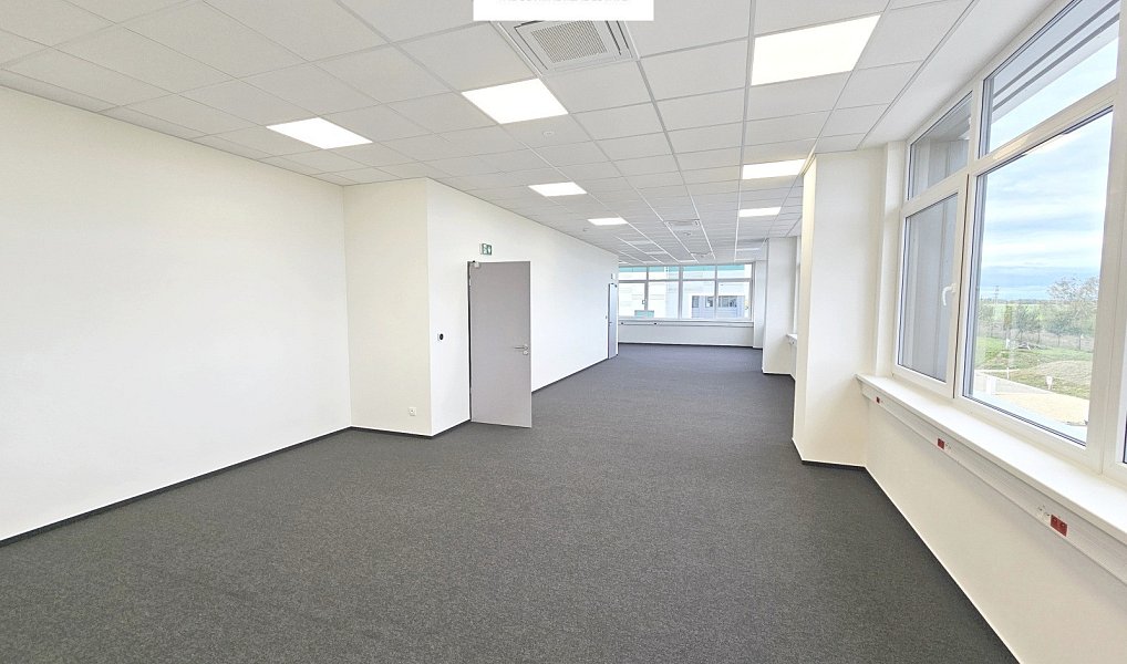Pronájem výrobních prostor 5 063 m², Syrovice – náhled fotky 10