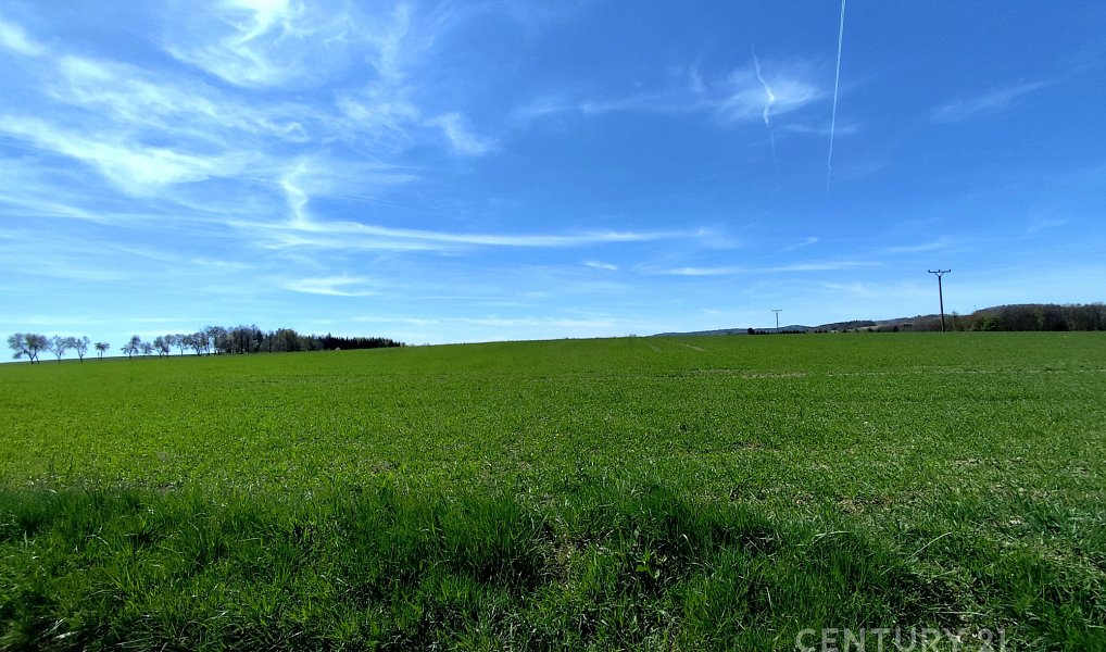 Prodej pole 40 119 m², Nová Včelnice – náhled fotky 3