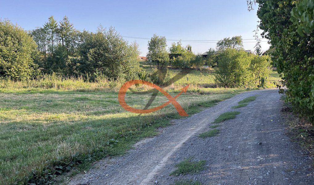 Prodej louky 2 325 m², Lešná – náhled fotky 6