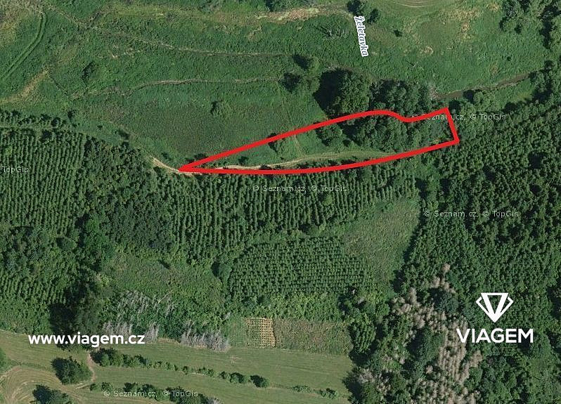 Prodej lesa 2 254 m²