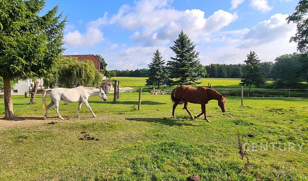 Prodej zemědělského objektu 600 m², Kamenný Újezd – náhled fotky 12