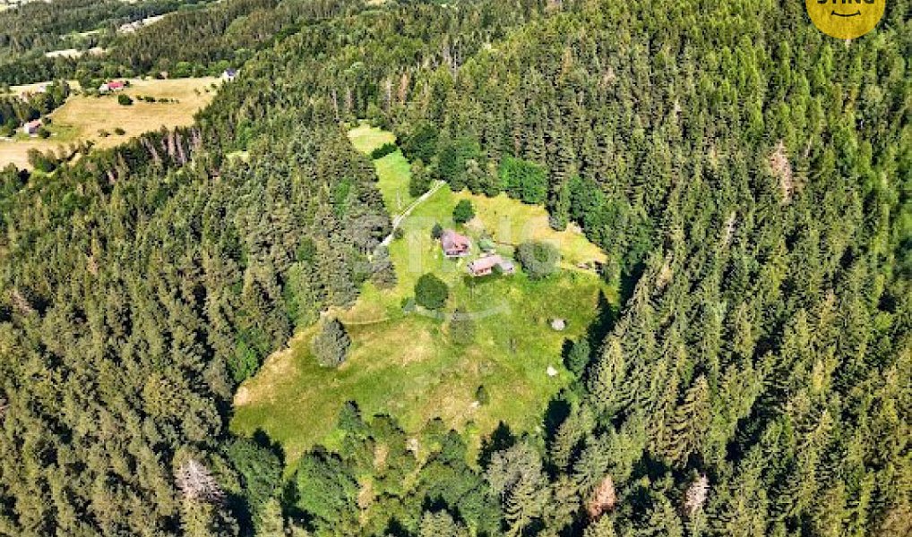 Prodej domu 2 989 m² s pozemkem 17 580 m², Hutisko-Solanec – náhled fotky 13