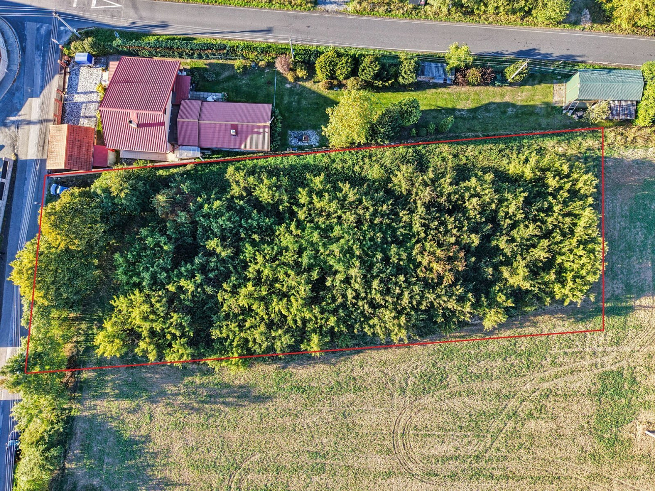 Fotka 10 z 18