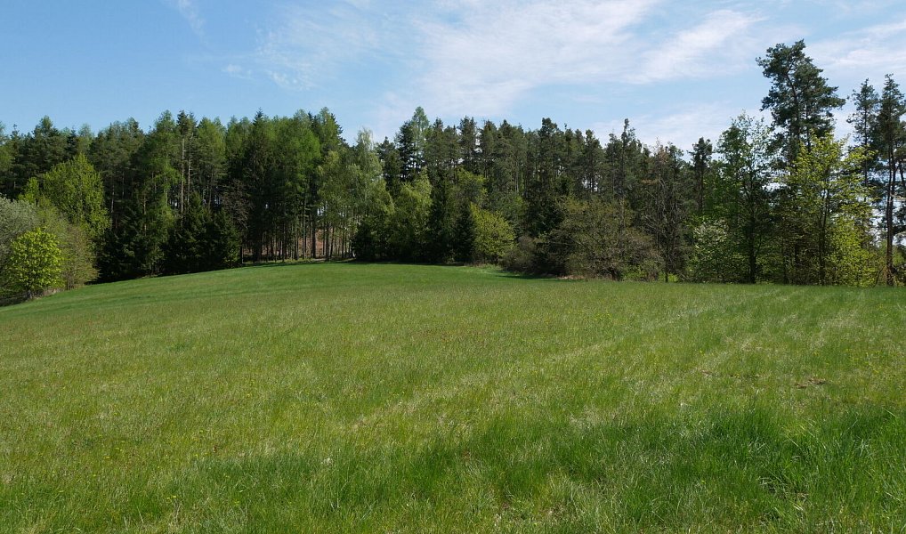 Prodej domu 159 m² s pozemkem 15 148 m², Neveklov – náhled fotky 3