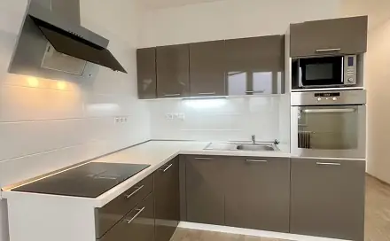 Pronájem bytu 1+1 35 m²