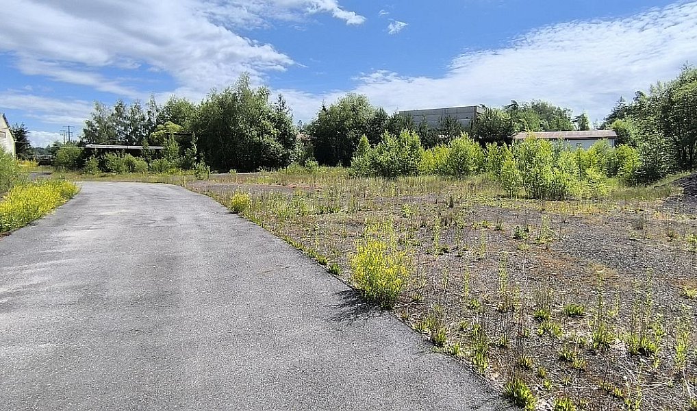 Prodej komerčního objektu (jiného typu) 5 391 m², Odrava – náhled fotky 21