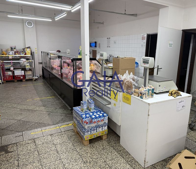 Prodej obchodních prostor 481 m² – fotografie 5
