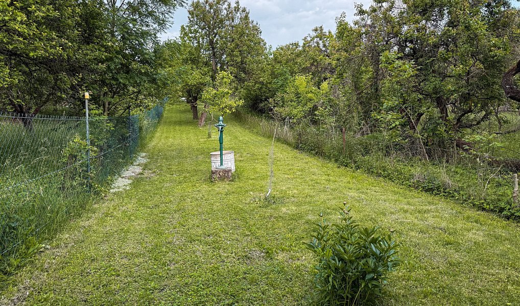 Prodej zahrady 1 403 m², Brno – náhled fotky 5