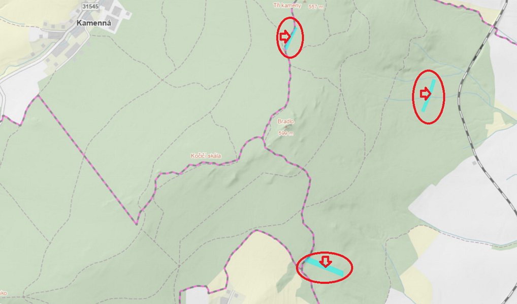 Prodej lesa 6 798 m², Nýřany – náhled fotky 7