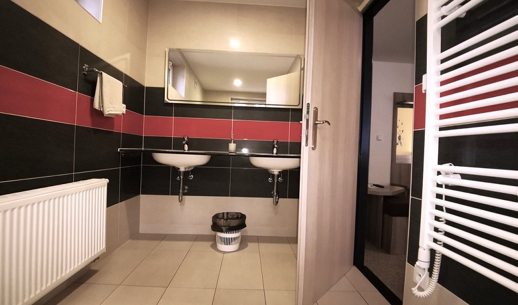 Pronájem ubytovacího objektu 385 m², Jihlava – náhled fotky 11