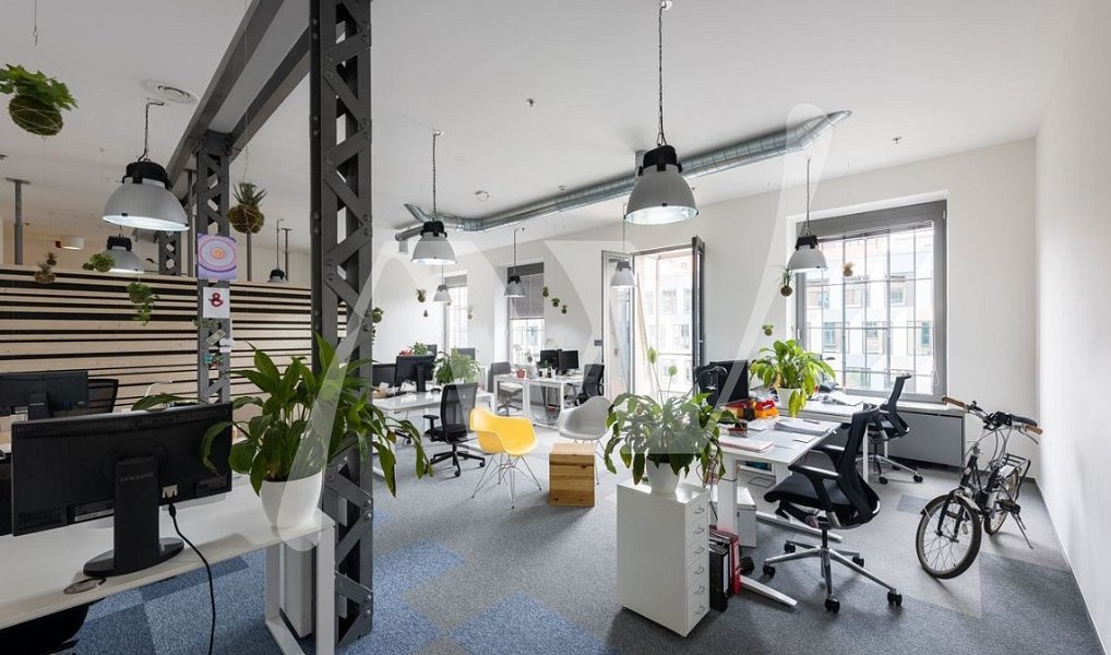 Pronájem kanceláře 337 m², Praha – náhled fotky 4