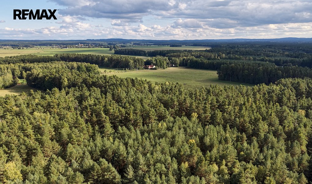 Prodej stavebního pozemku 1 001 m², Suchdol nad Lužnicí – náhled fotky 37