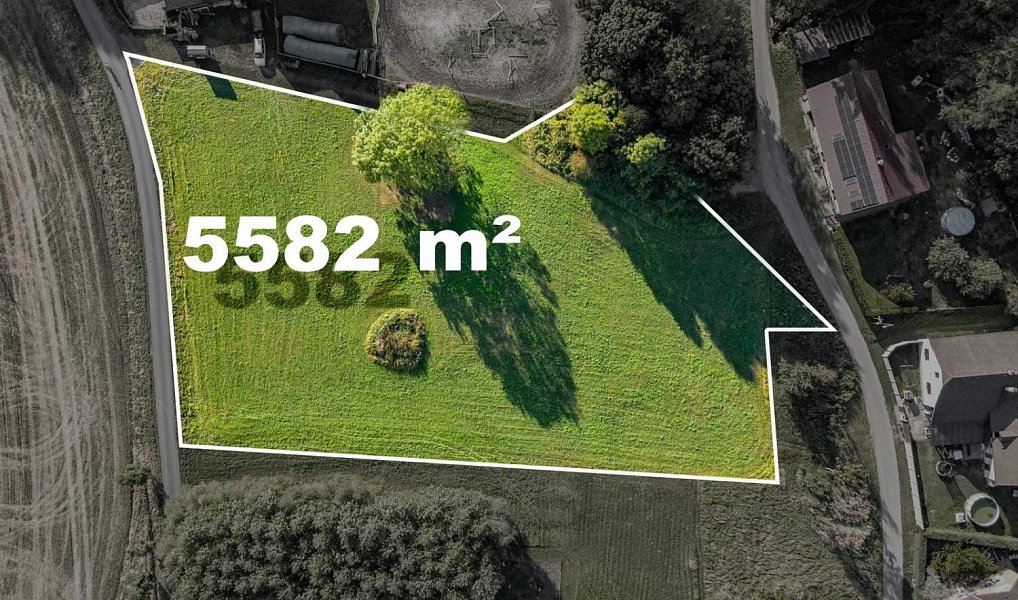 Prodej stavebního pozemku 5 582 m², Damníkov – náhled fotky 6