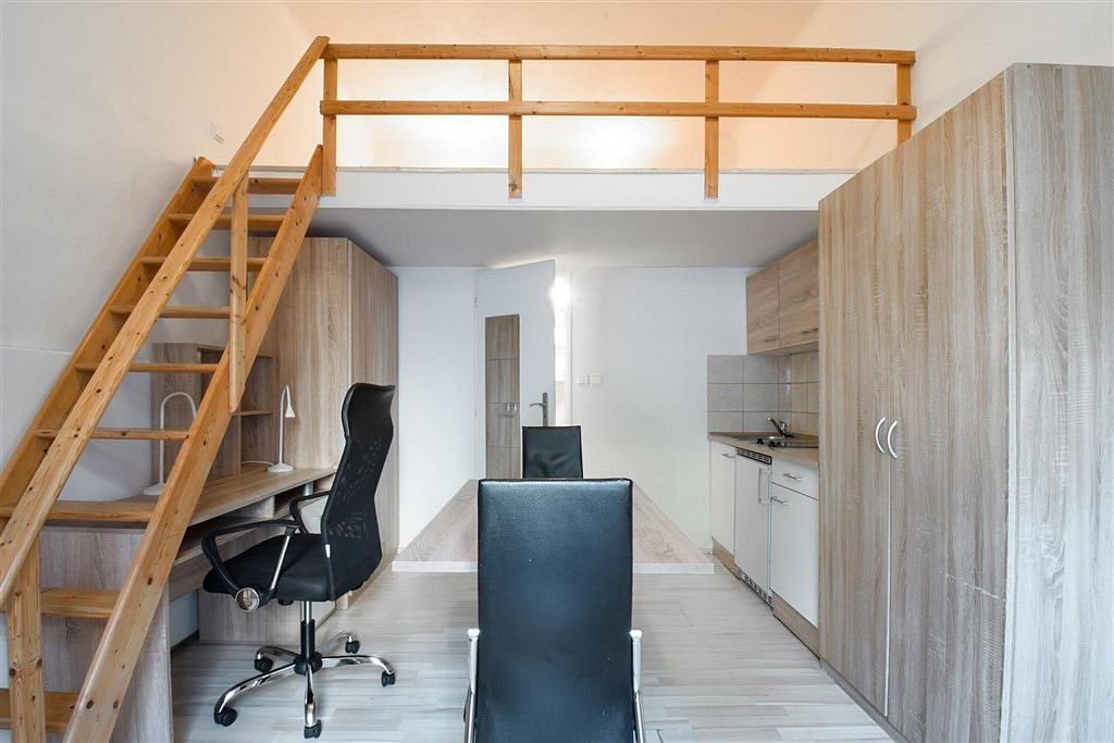 Pronájem bytu 1+kk 19 m² – pohled 4